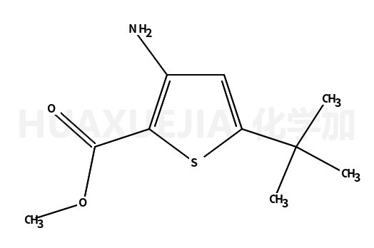 3-氨基-5-叔丁基噻吩-2-羧酸甲酯