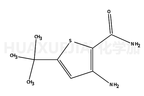 3-氨基-5-叔丁基噻吩-2-甲酰胺