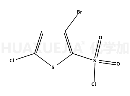 3-溴-5-氯噻酚-2-磺酰氯
