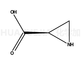 (S)-氮丙啶-2-羧酸