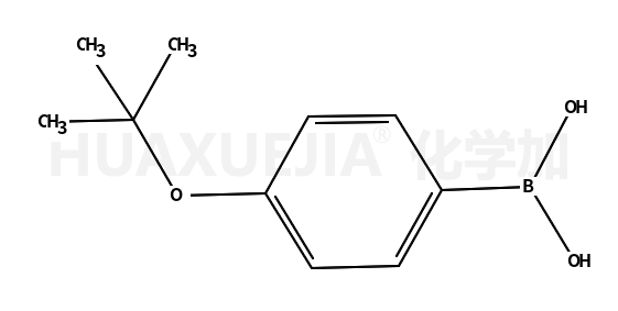 4-叔丁氧基苯硼酸