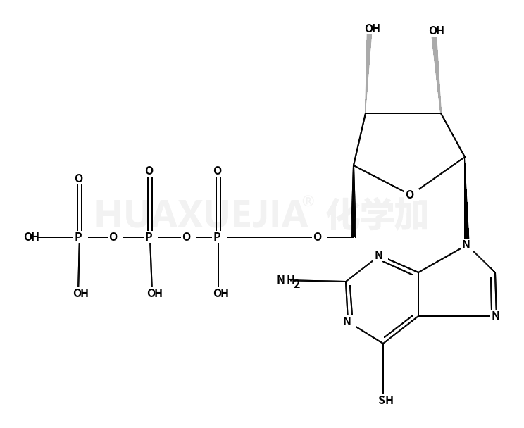 6-Thio-GTP（水溶液）（Thiogtp）