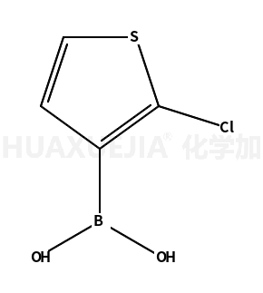 2-氯噻吩-3-硼酸