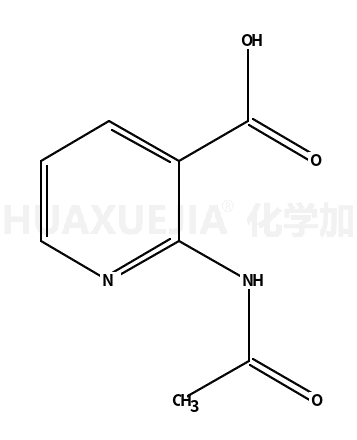 2-乙酰氨基烟酸
