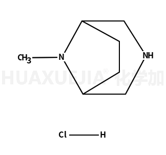 8-甲基-3,8-二氮杂双环[3.2.1]辛烷二盐酸盐