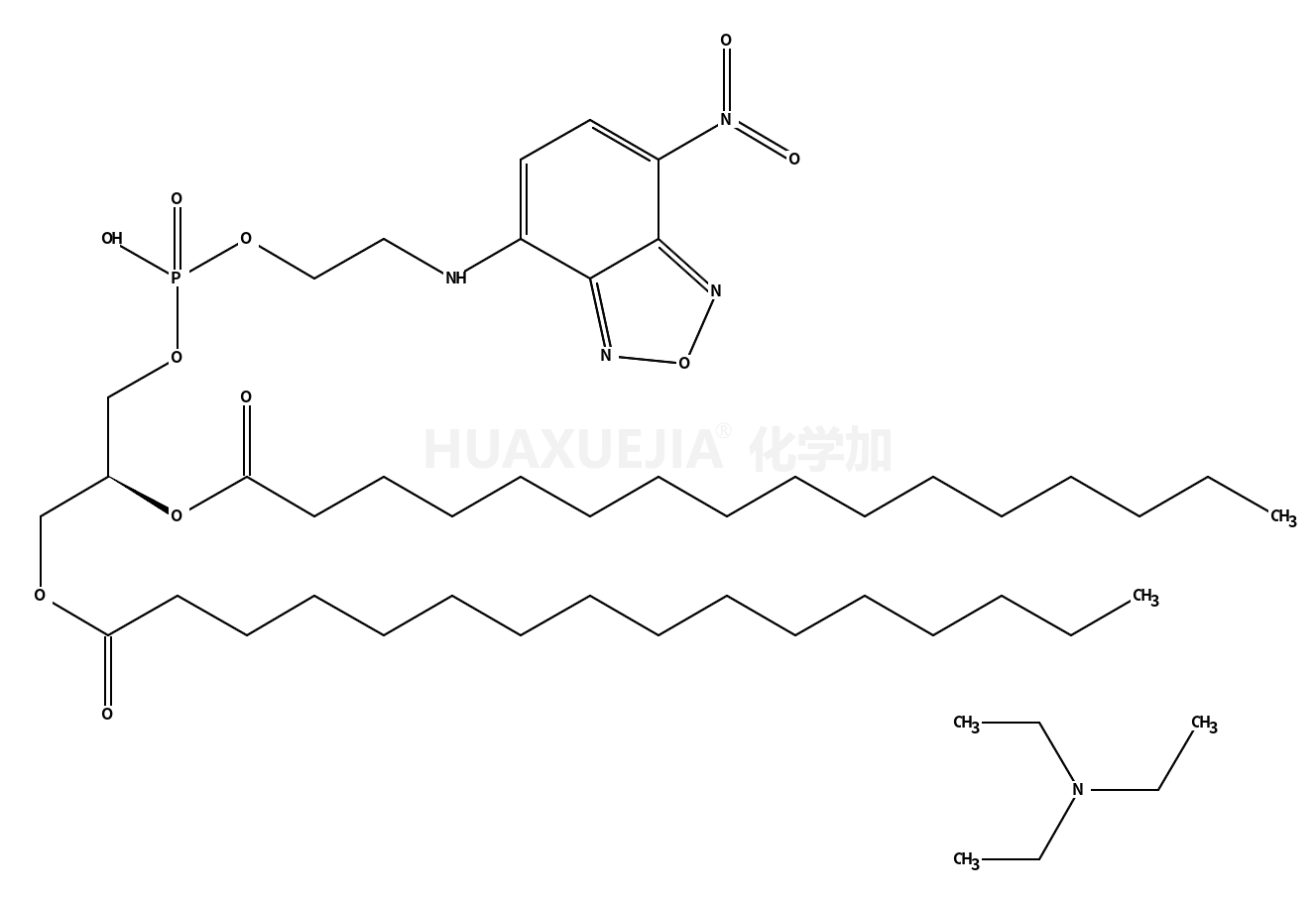 NBD-PE  [N-(7-Nitrobenz-2-oxa-1,3-diazol-4-yl)-1,2-dihexadecanoyl-sn-glycero-3-phosphoethanolamine, triethylammonium salt]