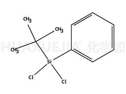 t-丁基苯基二氯硅烷