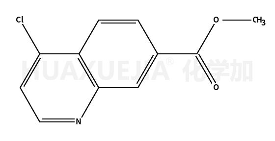 4-氯喹啉-7-羧酸甲酯