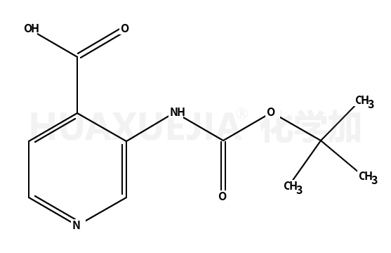 3-N-叔丁氧羰基氨基异烟酸