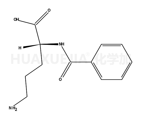N-苯甲酰鸟氨酸