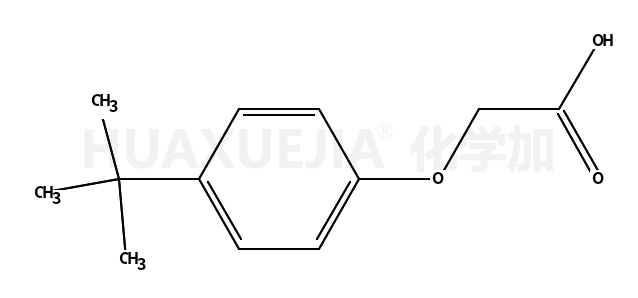 4-叔-丁基苯氧基乙酸
