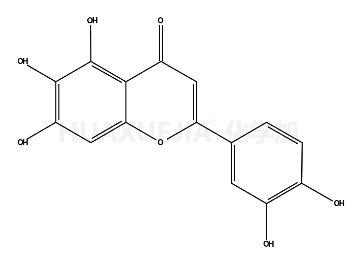 6-羟基木犀草素