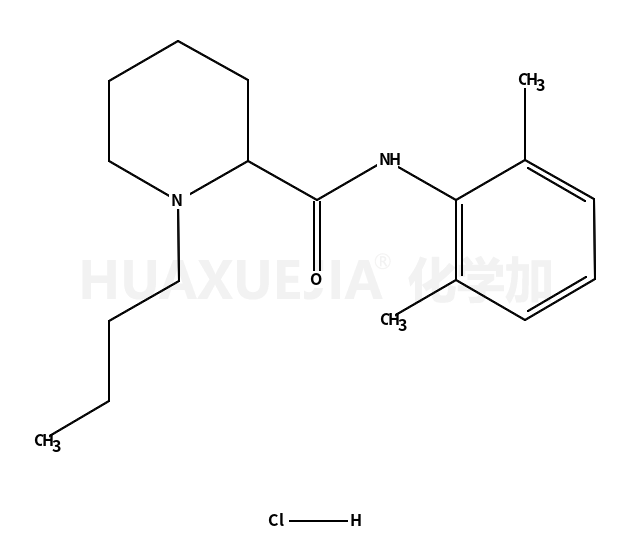 Bupivacaine HCl