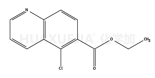 5-氯-6-喹啉羧酸乙酯