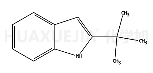 2-叔丁基-1H-吲哚
