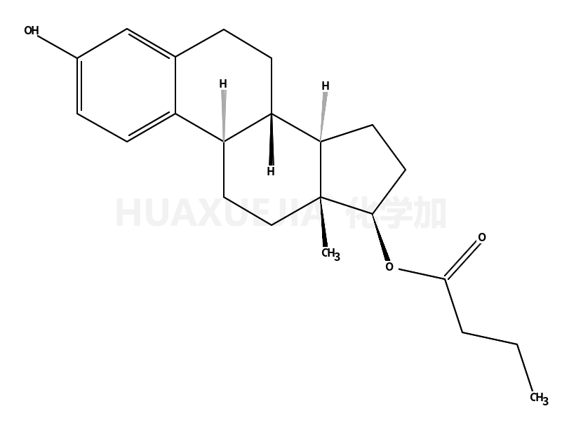 雌二醇17-丁酸盐