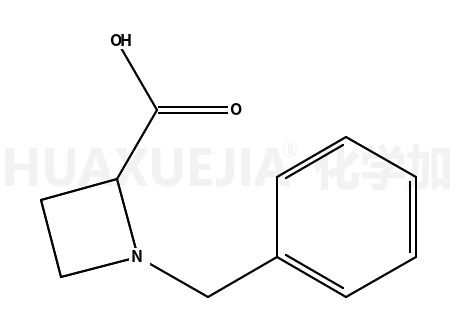 1-苄基氮杂丁烷-2-羧酸