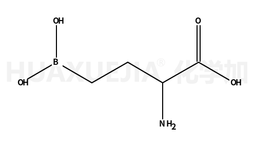 2-氨基-4-硼丁酸