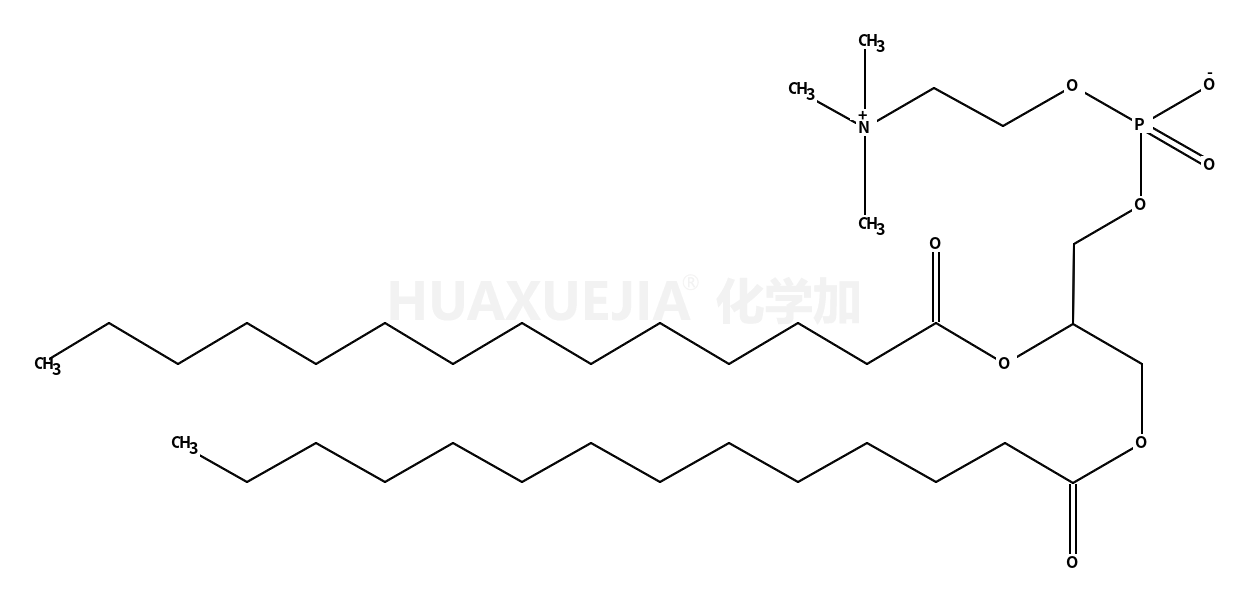 二肉豆蔻酰磷脂酰胆碱（DMPC）