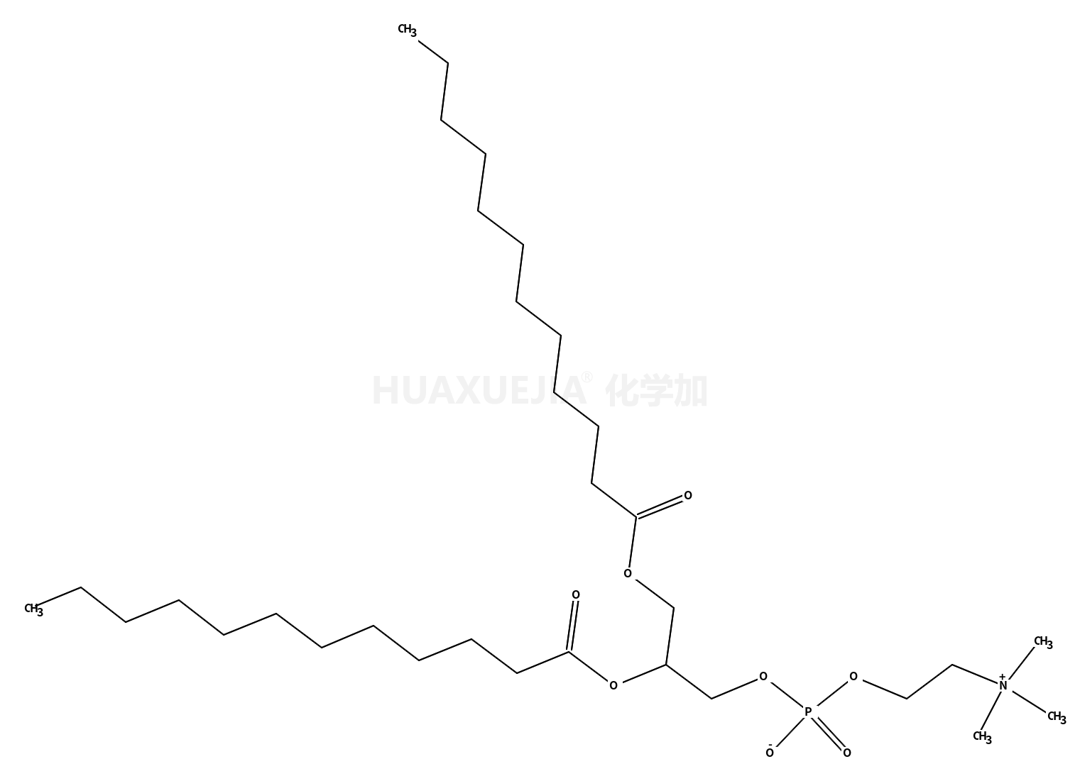 1,2-二十二酰基-sn-glycero-3-胆碱磷酸