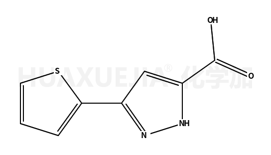 5-(噻吩-2-基)-1H-吡唑-3-羧酸