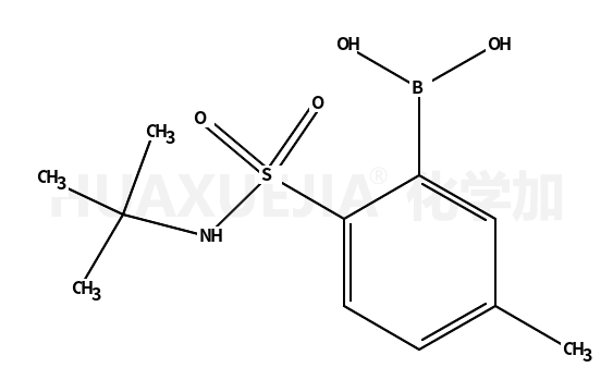 叔丁基2-二羟硼基-4-甲基苯磺酰胺