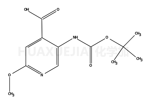 5-(叔丁氧基羰基氨基)-2-甲氧基吡啶-4-羧酸