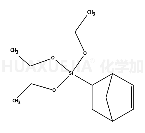 [二环[2.2.1]庚-5-烯-2-基]三乙氧基硅烷(异构体的混合物)