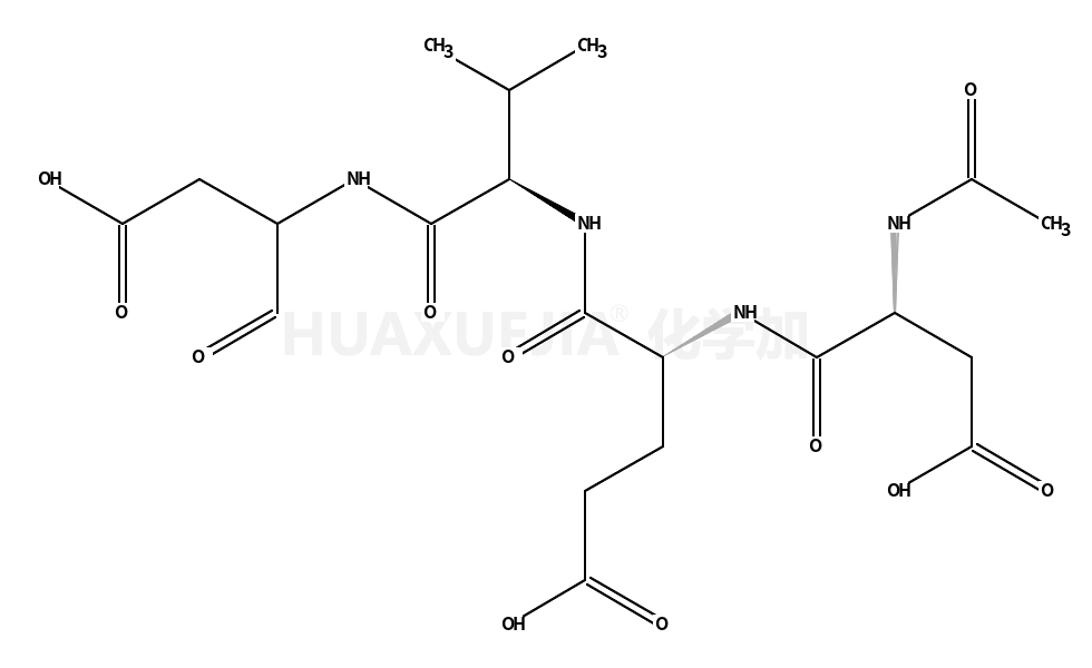 半胱胺酸蛋白酶-10