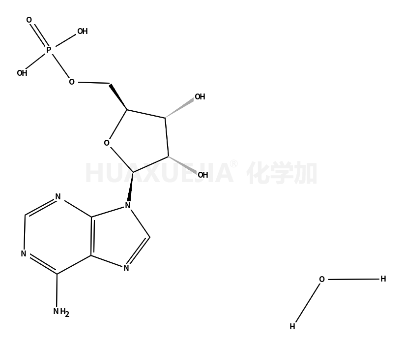 腺苷-5'-磷酸