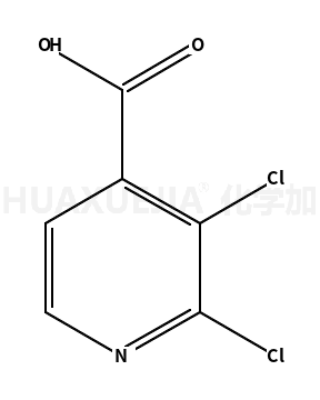 2,3-二氯吡啶-4-甲酸