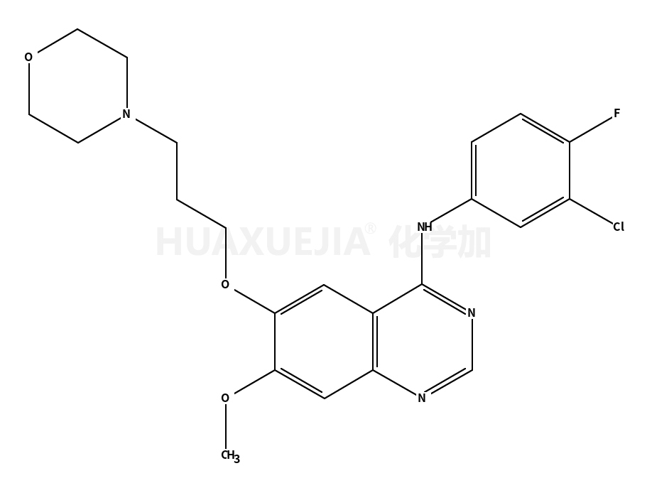 Gefitinib (ZD1839)