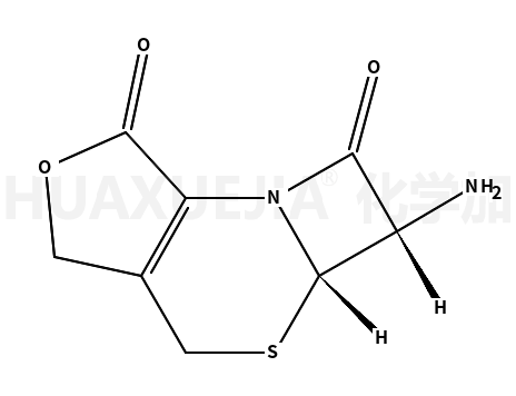 Desacetyl-7-ACA Lactone