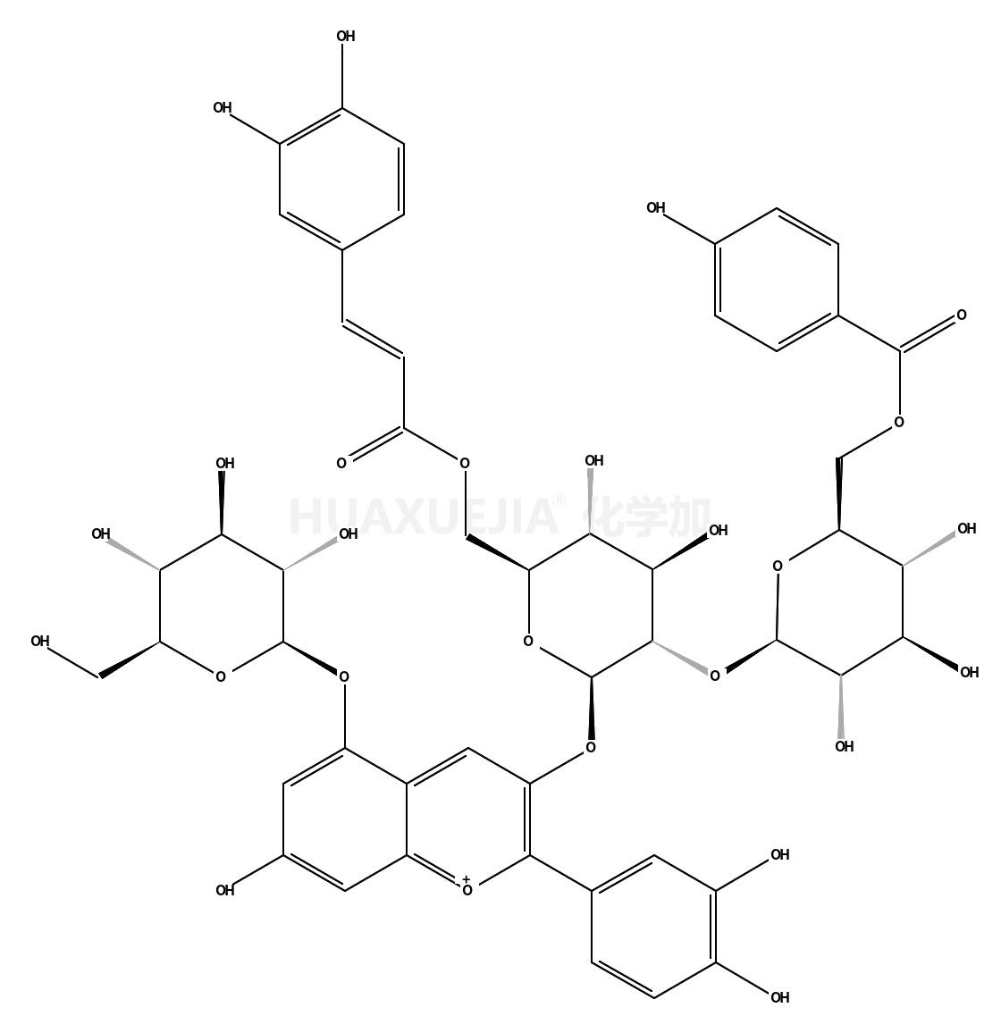 矢车菊素-3-O-[6-O-反式-咖啡酰-(6-O-p-苯甲酰-2-O-β-葡萄糖苷)]-β-葡萄糖苷)-5-O-β-葡萄糖苷