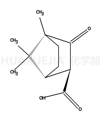 (+)-樟脑羧酸