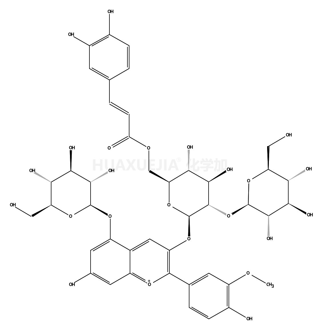 芍藥素-3-O-(6-O-反式-咖啡酰-2-O-β-葡萄糖苷-β-葡萄糖苷)-5-O-β-葡萄糖苷