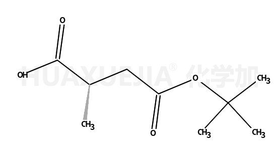 (R)-2-甲基琥珀酸-4-叔丁酯