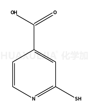 2-疏基吡啶-4-羧酸