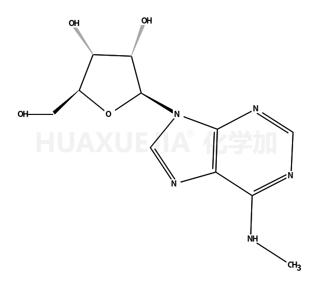N6-甲基腺苷