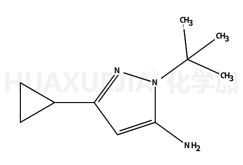 1 -叔丁基- 3 -环丙基-1H -吡唑- 5 -胺