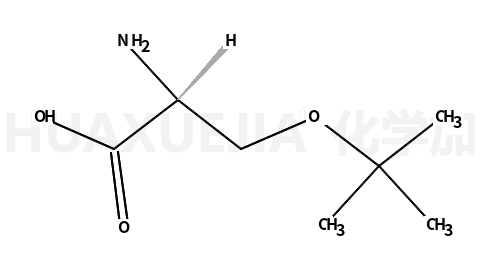 O-叔丁基-D-丝氨酸