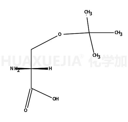 O-叔丁基-L-丝氨酸