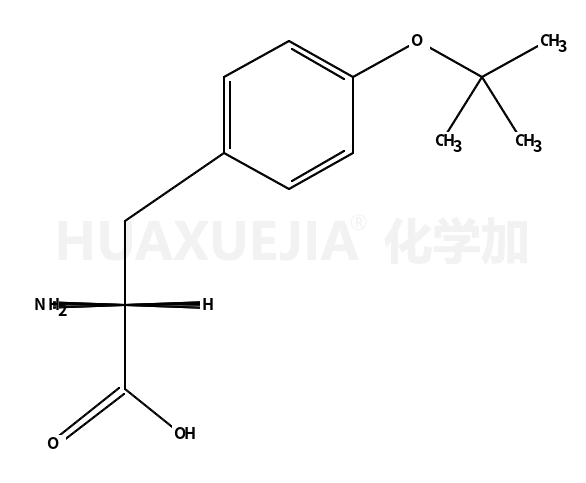 O-叔丁基-L-酪氨酸