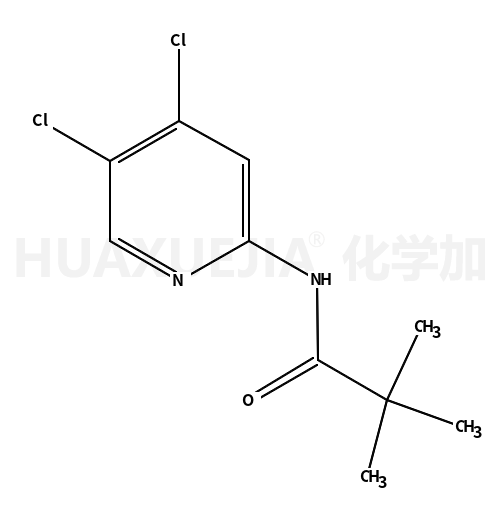 N-(4,5-二氯吡啶-2-基)-2,2-二甲基丙酰胺