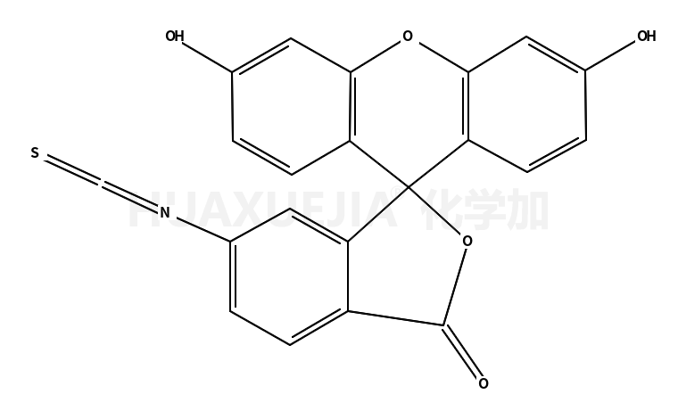 荧光素-6-异硫氰酸酯，同分异构体II（含少量丙酮）