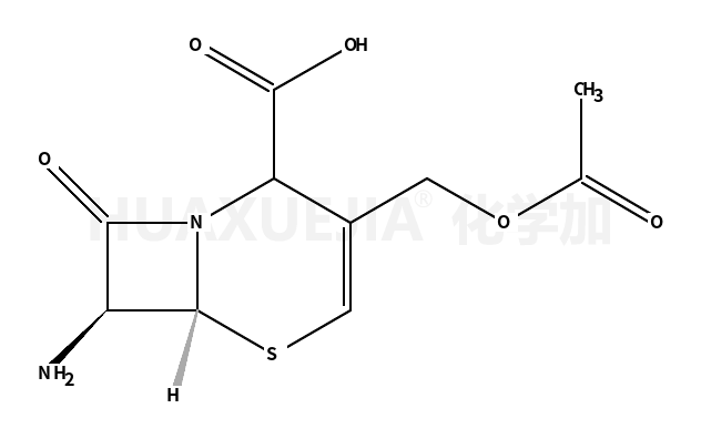 头孢西酮杂质5