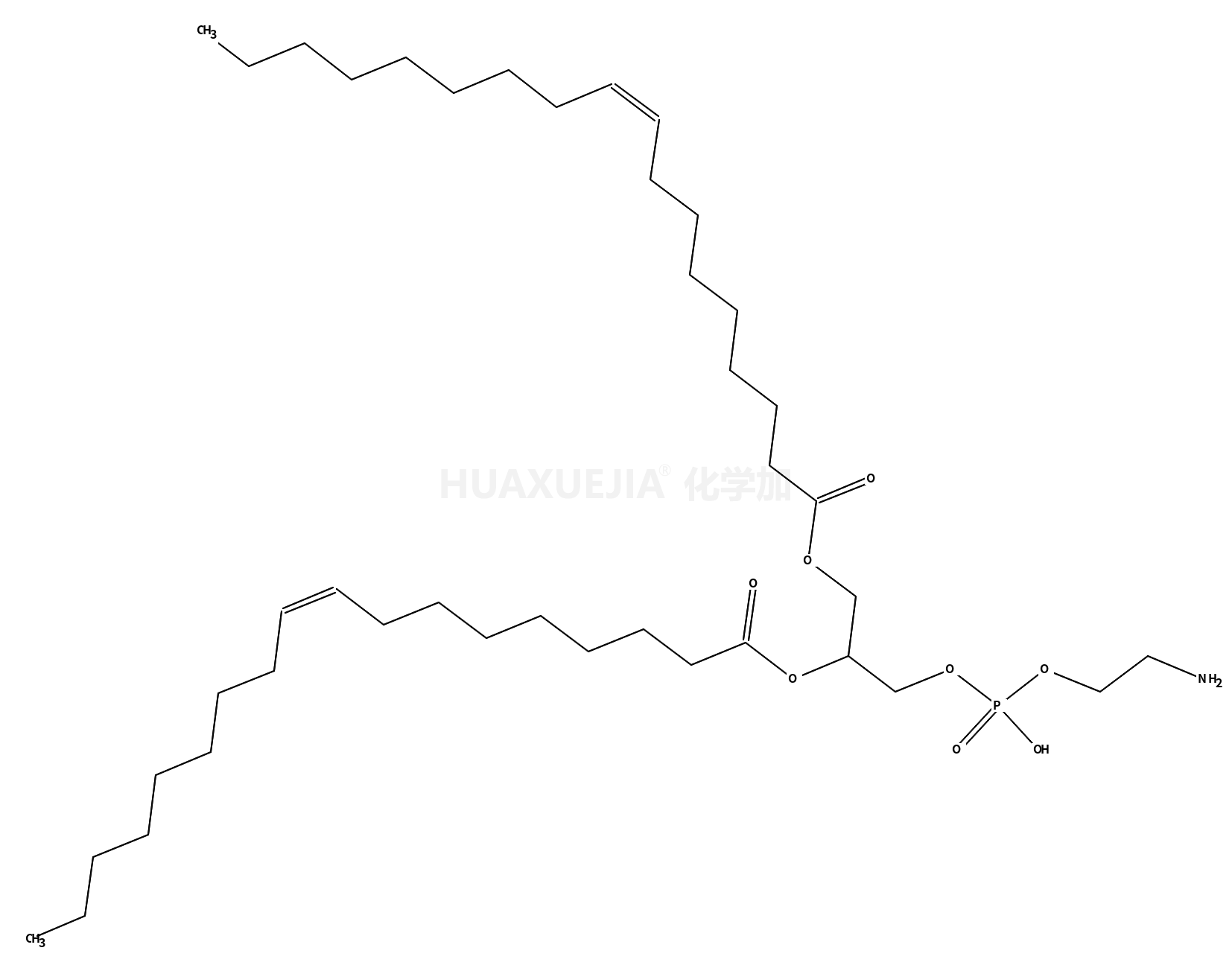 1,2-dielaidoyl-sn-glycero-3-phosphoethanolamine