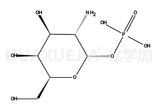 D-葡萄糖胺-1-磷酸酯