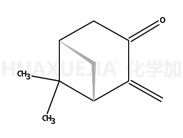 二环[3.1.1]庚烷-3-酮,  6,6-二甲基-2-亚甲基-,   (1S,5S)-