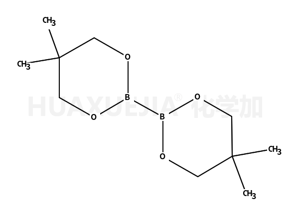联硼酸新戊二醇酯